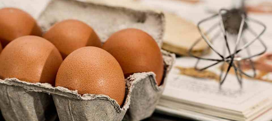 Harvard School of Public Health debunks egg study
